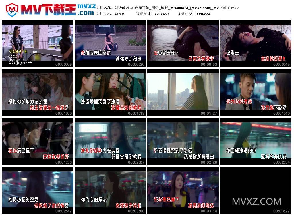 刘增瞳-你却选择了她_国语_流行_MB300874